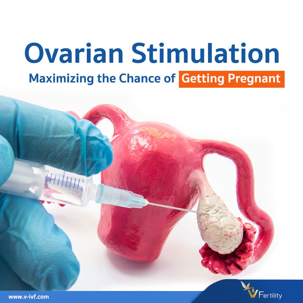 Ovarian Stimulation Eggs Stimulation Maximizing The Chance Of 