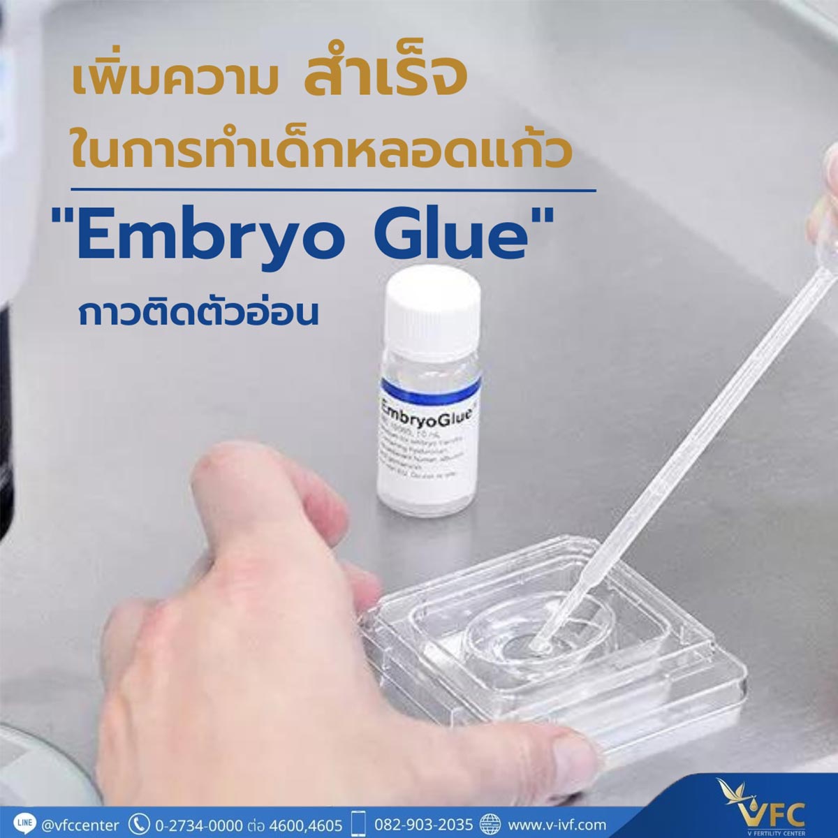 Embryo Glue คืออะไร V