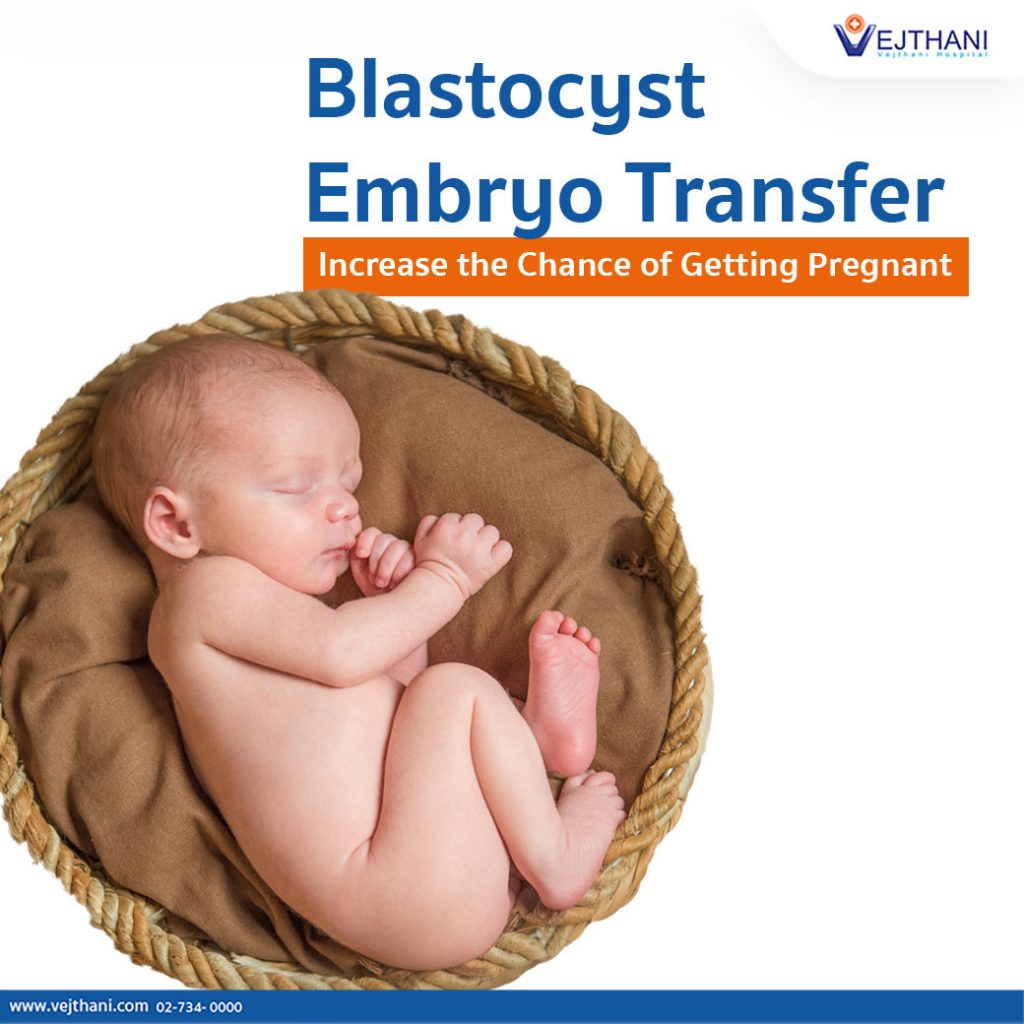Blastocyst Embryo Transfer.