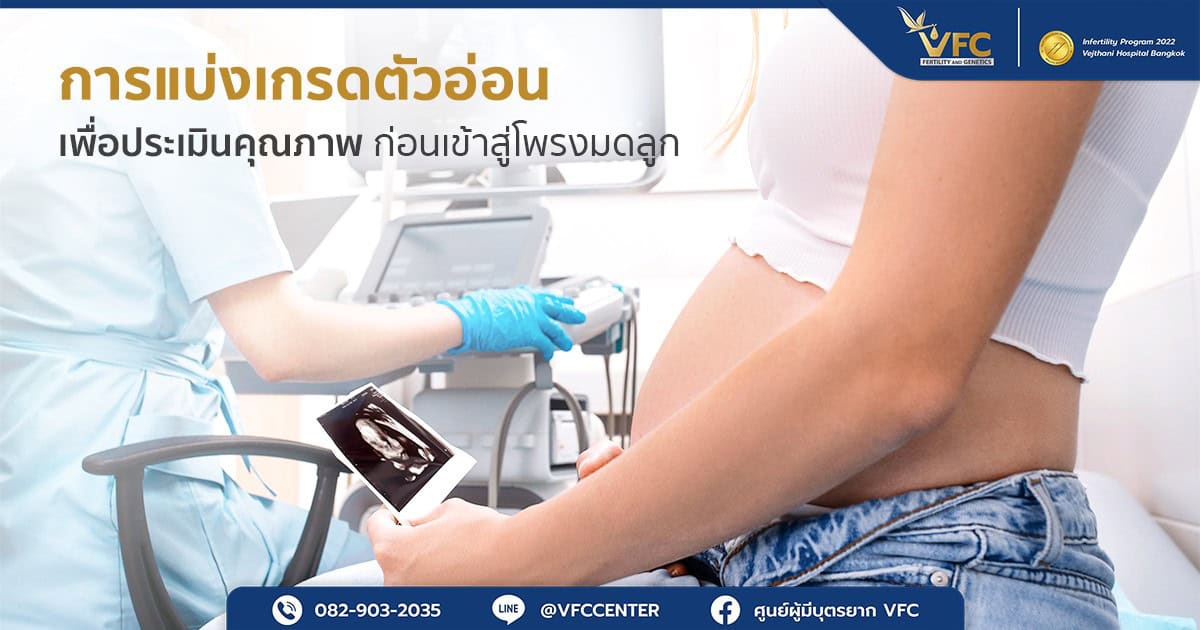 ผู้หญิงตั้งครรภ์หลังใช้วิธีประเมินเกรดตัวอ่อน เพื่อคัดเลือกตัวอ่อนคุณภาพดี