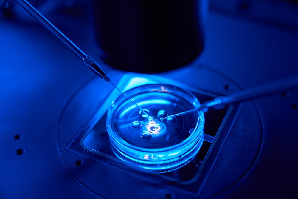 The ICSI procedure is performed in a laboratory.