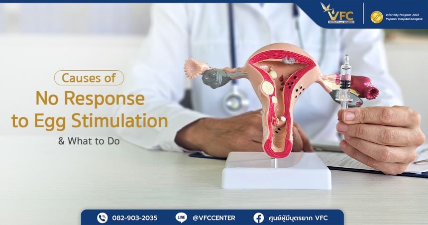 Doctor explaining egg stimulation and ovarian non-responsiveness