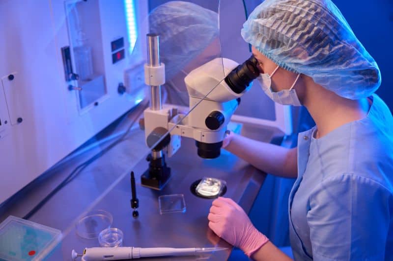 การใช้กล้องจุลทรรศน์ดิจิตอลขั้นสูงเพื่อทำ Oocyte Imaging ในกระบวนการทำ ICSI
