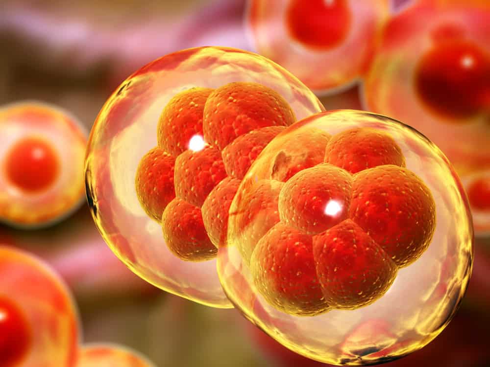 Abnormal cell division increasing the risk of mosaic embryo formation