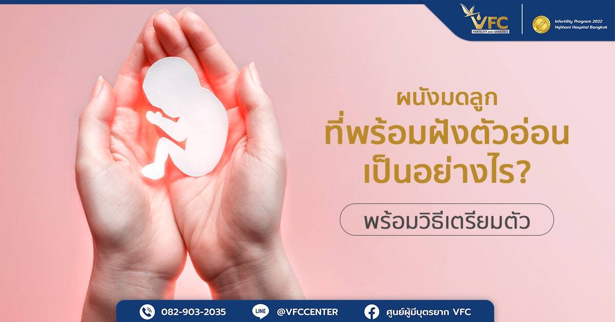เข้าใจเรื่องผนังมดลูกที่พร้อมฝังตัวอ่อน เพื่อโอกาสในการตั้งครรภ์
