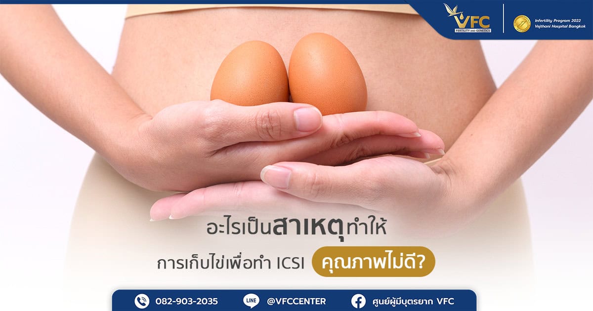 ผู้หญิงถือไข่ 2 ใบ ที่เปรียบเสมือนสัญลักษณ์ไข่อ่อนในการทำ ICSI